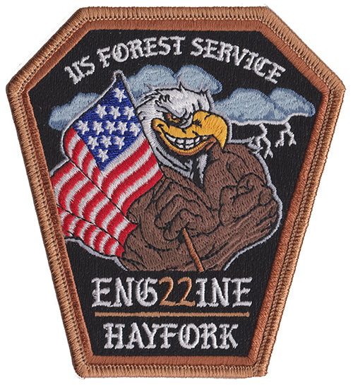 3点 wiidfireです。 U.S. Forest Service Engine 22 Hayfork, California Fire Patch